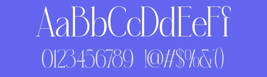 Gulbina Font by burntilldead — Serif Font — thumbnail 3