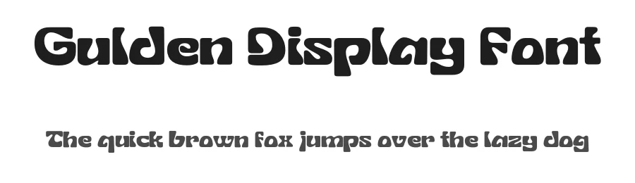Gulden Display Font by Studio Gulden — Display Font