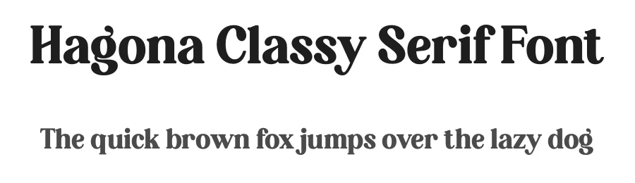 Hagona Classy Serif Font by Storytype — Serif Font