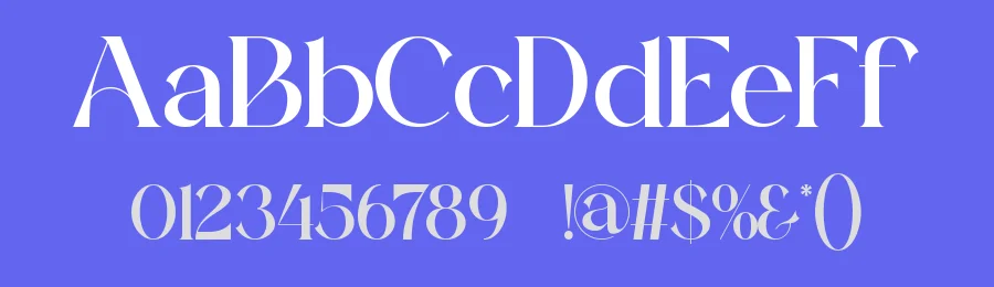 Haidan || Moden Classy Serif Font by ErmediaStudio — Display Font — thumbnail 3