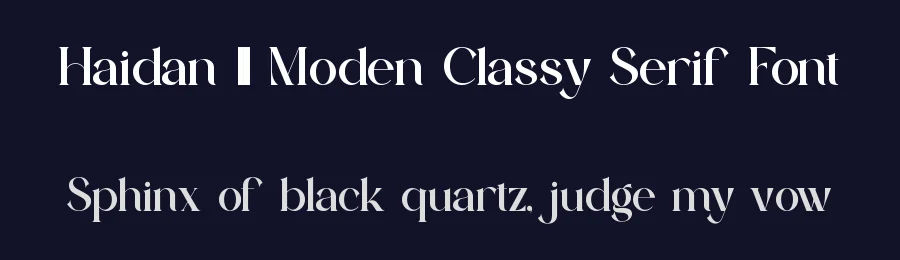 Haidan || Moden Classy Serif Font by ErmediaStudio — Display Font — thumbnail 2