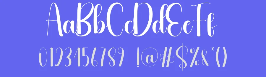 Hairdryer Script Font by andikastudio — Script Handwritten Font — thumbnail 3