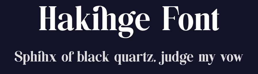 Hakinge Font by TypeLogue — Serif Font — thumbnail 2