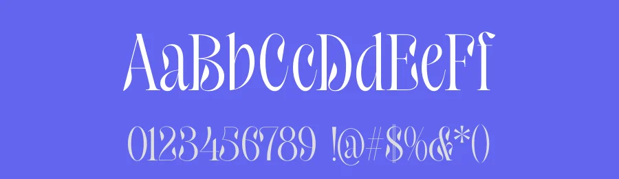 Hakons – Serif Display Font by timelesstype.co — Display Font — thumbnail 3