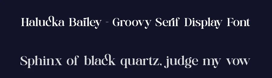 Halucka Bailey – Groovy Serif Display Font by timelesstype.co — Display Font — thumbnail 2