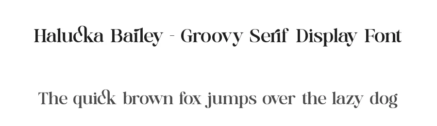 Halucka Bailey – Groovy Serif Display Font by timelesstype.co — Display Font