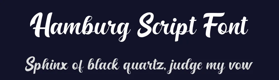 Hamburg Script Font by Basnistudio — Script Handwritten Font — thumbnail 2
