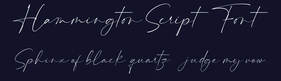 Hammington Script Font by Maulana Creative — Script Handwritten Font — thumbnail 2