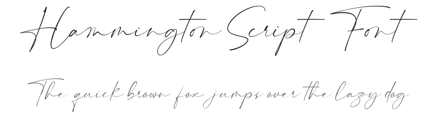 Hammington Script Font by Maulana Creative — Script Handwritten Font