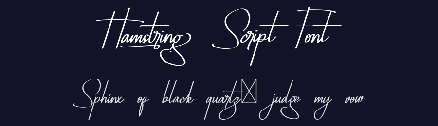 Hamstring Script Font by RaisProject — Script Handwritten Font — thumbnail 2