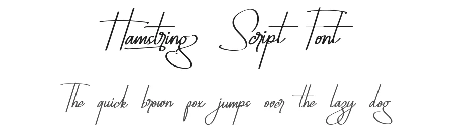 Hamstring Script Font by RaisProject — Script Handwritten Font