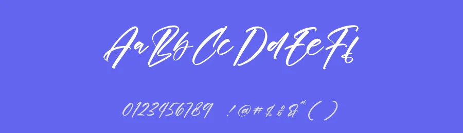 Handmade Blissugar Script Font by Operatype.Co — Script Handwritten Font — thumbnail 3