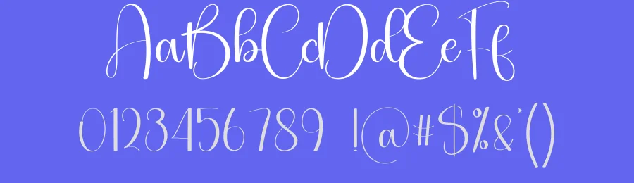 Handsome Calligraphy Font by creativeletter — Script Handwritten Font — thumbnail 3