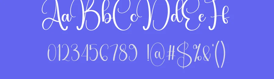 Handsome Script Font by Store_07 — Script Handwritten Font — thumbnail 3