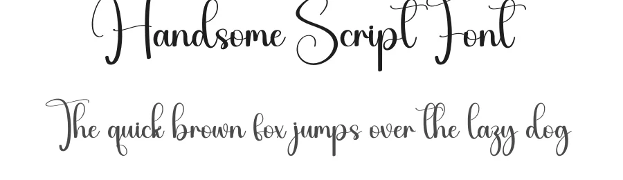 Handsome Script Font by Store_07 — Script Handwritten Font