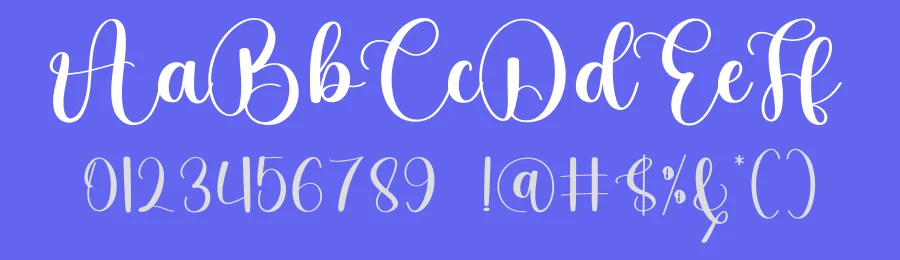 Handsome Script Font by ade gilang — Script Handwritten Font — thumbnail 3