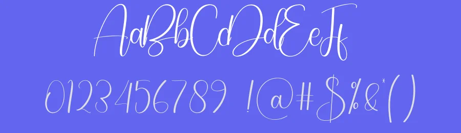 Handsome Script Font by creativeletter — Script Handwritten Font — thumbnail 3