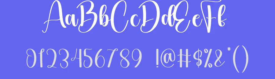 Handwriting – Stylish Handwritten Script Font by creativeletter — Script Handwritten Font — thumbnail 3