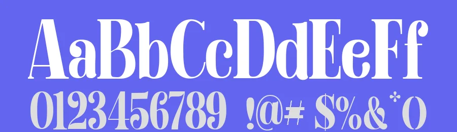 Handyplast Font by gianstudio12 — Serif Font — thumbnail 3