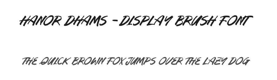 Hanor Dhams – Display Brush Font by letterenastudios — Script Handwritten Font