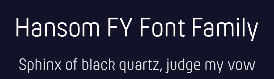 Hansom FY Font Family by Black Foundry — Sans Serif Font — thumbnail 2