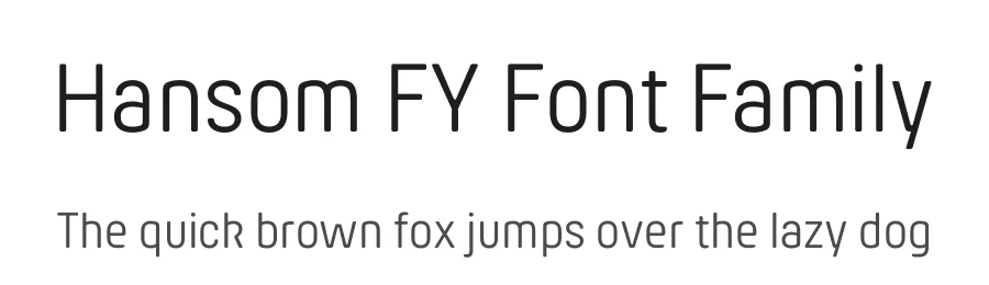 Hansom FY Font Family by Black Foundry — Sans Serif Font