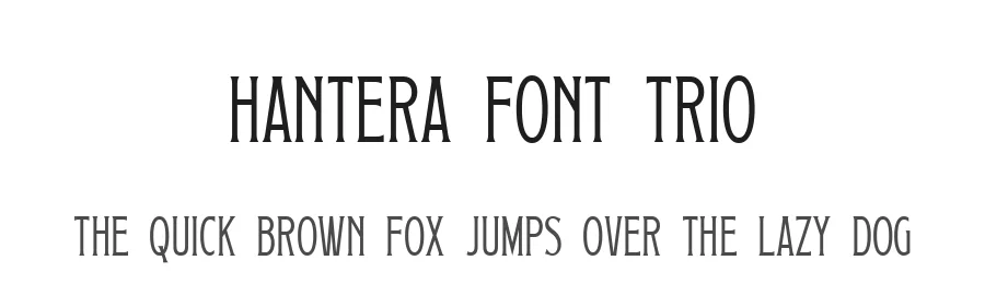 Hantera Font Trio by Letterhend Studio — Script Handwritten Font