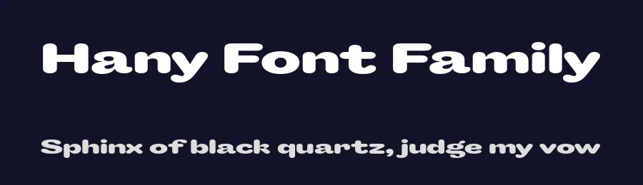 Hany Font Family by Maksym Kobuzan — Sans Serif Font — thumbnail 2