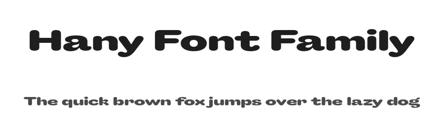 Hany Font Family by Maksym Kobuzan — Sans Serif Font