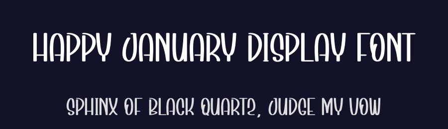 Happy January Display Font by andikastudio — Display Font — thumbnail 2