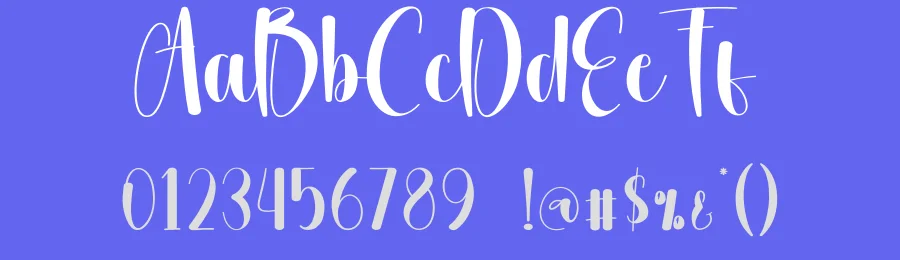Happy Party Script Font by creativeletter — Script Handwritten Font — thumbnail 3