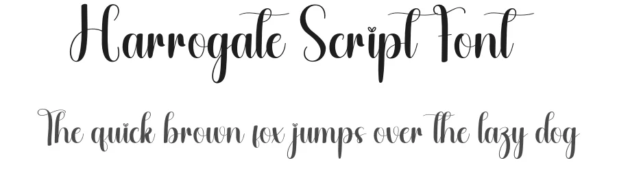 Harrogate Script Font by andikastudio — Script Handwritten Font