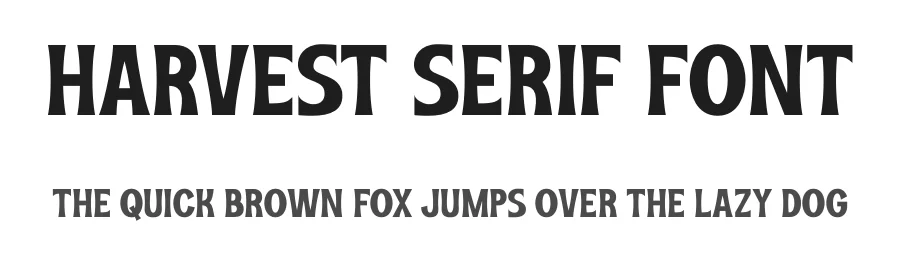 Harvest Serif Font by Almairatype — Serif Font
