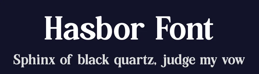 Hasbor Font by Amorfa Type — Serif Font — thumbnail 2