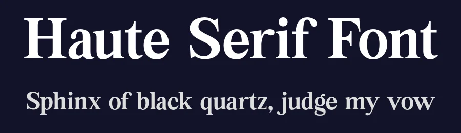 Haute Serif Font by Surplus Type Co — Serif Font — thumbnail 2