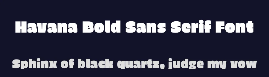 Havana Bold Sans Serif Font by Gfont — Sans Serif Font — thumbnail 2