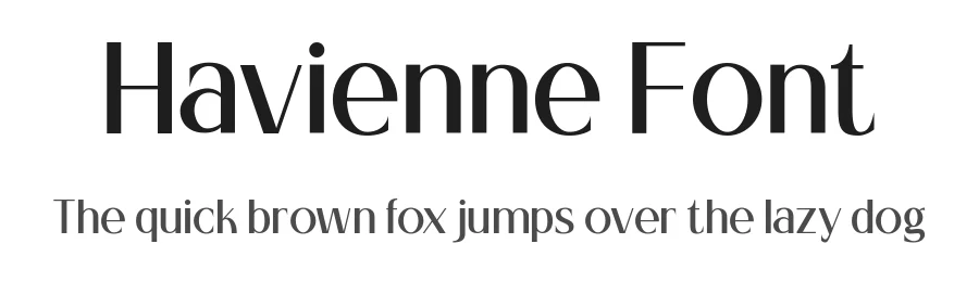 Havienne Font by hyperactype — Serif Font