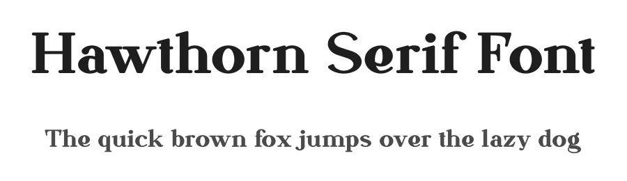 Hawthorn Serif Font by vpcreativeshop — Display Font