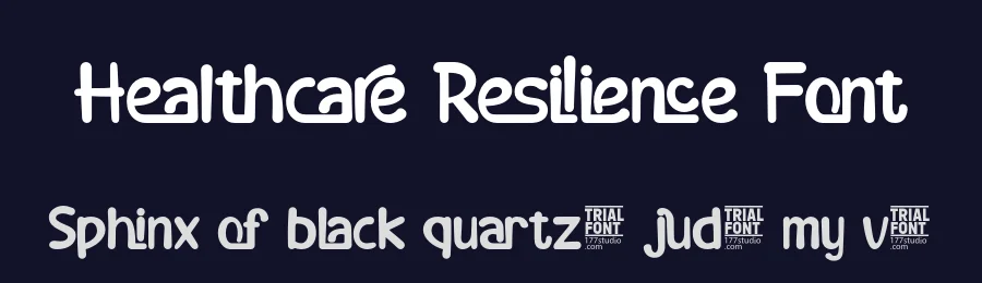 Healthcare Resilience Font by 177Studio — Script Handwritten Font — thumbnail 2
