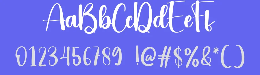 Heavy Script Font by creativeletter — Script Handwritten Font — thumbnail 3