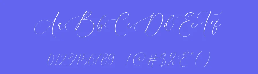 Heavytimes Font by balpirick — Script Handwritten Font — thumbnail 3