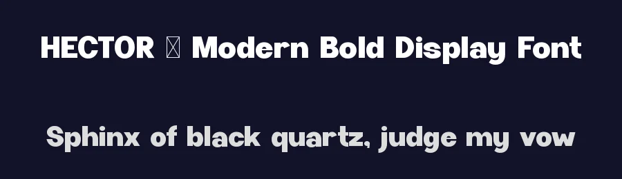 HECTOR – Modern Bold Display Font by Rautan — Display Font — thumbnail 2