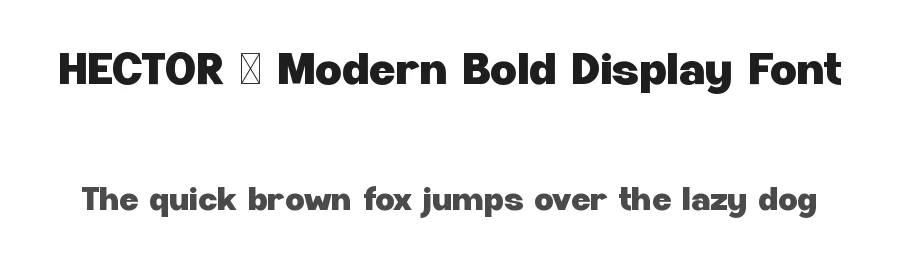 HECTOR – Modern Bold Display Font by Rautan — Display Font
