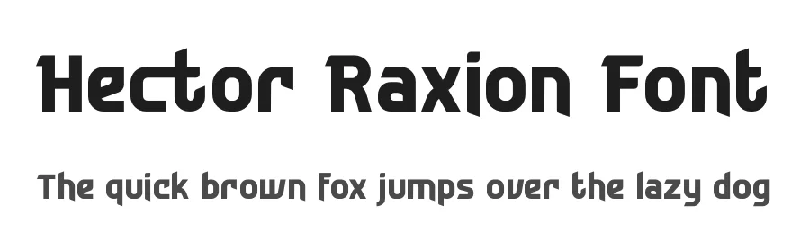 Hector Raxion Font by timelesstype.co — Display Font