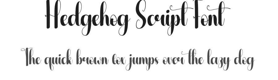 Hedgehog Script Font by andikastudio — Script Handwritten Font