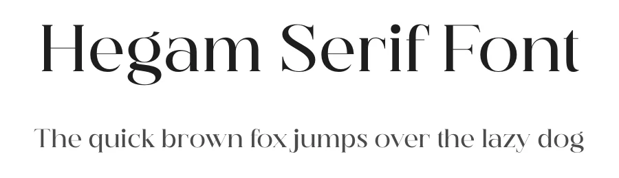 Hegam Serif Font by Storytype — Serif Font
