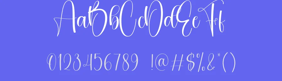 Height Calligraphy Font by creativeletter — Script Handwritten Font — thumbnail 3