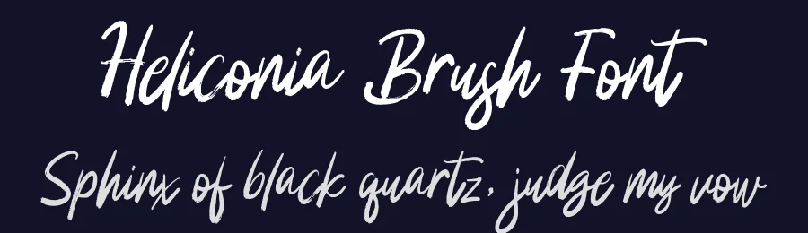 Heliconia Brush Font by stripesstudio — Script Handwritten Font — thumbnail 2