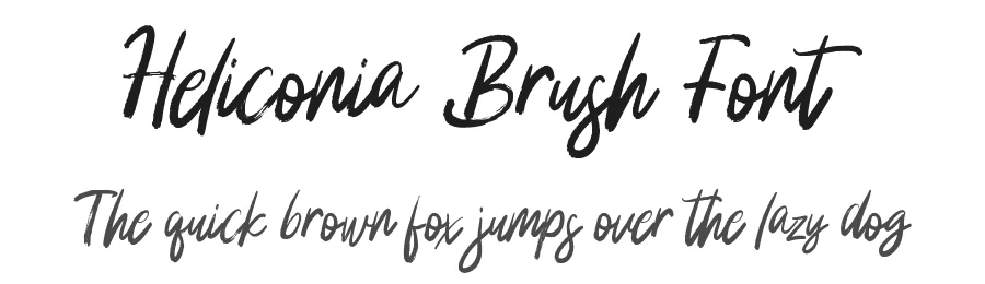 Heliconia Brush Font by stripesstudio — Script Handwritten Font
