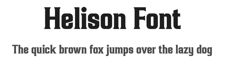 Helison Font by Rantautype — Serif Font